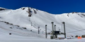 IMG_6111.jpeg