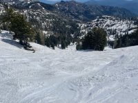 IMG_6101.jpeg