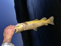 IMG_3892.jpeg