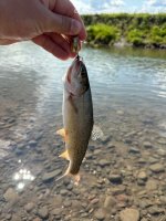 IMG_9514.jpeg