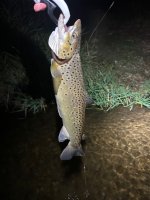 IMG_6883.jpeg