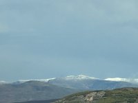 IMG_1131.jpeg
