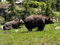 IMG_0147.jpeg