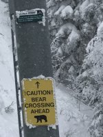 IMG_6971.jpeg