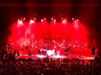 IMG_4252.jpeg