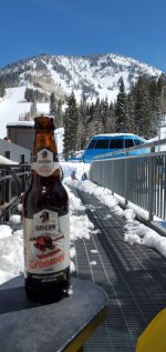 creekside bayern beer snowbird.jpg creekside bayern beer snowbird.jpg