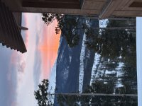 IMG_5116.jpeg