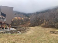 IMG_4535.jpeg IMG_4535.jpeg