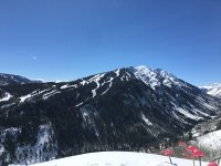 IMG_3784.jpeg
