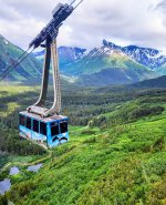 1000108445.jpg 1000108445.jpg