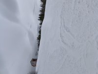 IMG_20251112_094034847.jpg IMG_20251112_094034847.jpg