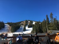 IMG_4113.jpeg IMG_4113.jpeg