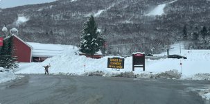 IMG_6804.jpeg IMG_6804.jpeg