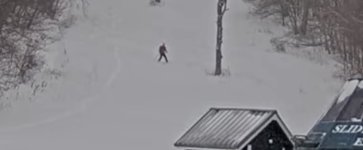 IMG_3401.jpeg IMG_3401.jpeg