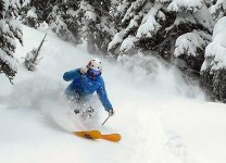 vince 2017 snowbird powder.jpeg vince 2017 snowbird powder.jpeg