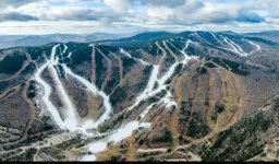 IMG_6891.jpeg IMG_6891.jpeg