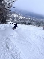 IMG_5958.jpeg IMG_5958.jpeg