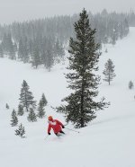 lost trail 15 march 2025 paul snowy.jpg lost trail 15 march 2025 paul snowy.jpg