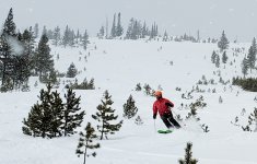 paul front lost trail.jpg paul front lost trail.jpg