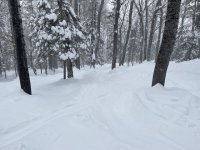 IMG_2643.jpeg IMG_2643.jpeg