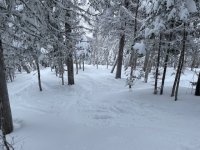 IMG_2668.jpeg IMG_2668.jpeg