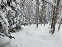 IMG_2640.jpeg IMG_2640.jpeg