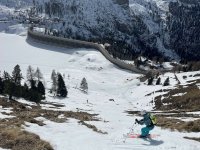 IMG_0469.jpg IMG_0469.jpg