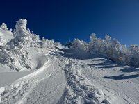 IMG_9955.jpeg IMG_9955.jpeg