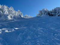 IMG_9973.jpeg IMG_9973.jpeg