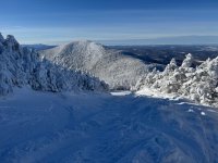 IMG_9980.jpeg IMG_9980.jpeg