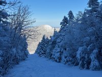 IMG_9993.jpeg IMG_9993.jpeg