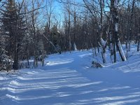 IMG_0004.jpeg IMG_0004.jpeg