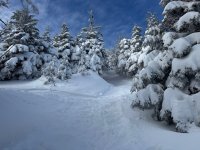 IMG_0085.jpeg IMG_0085.jpeg