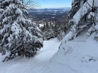 IMG_0089.jpeg IMG_0089.jpeg