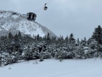 IMG_0209.jpeg IMG_0209.jpeg