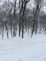 IMG_5002.jpeg IMG_5002.jpeg