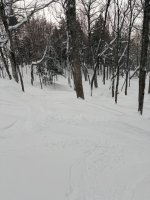 IMG_5007.jpeg IMG_5007.jpeg