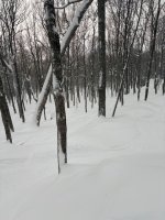 IMG_5006.jpeg IMG_5006.jpeg