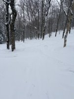 IMG_5005.jpeg IMG_5005.jpeg