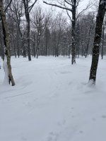 IMG_5004.jpeg IMG_5004.jpeg