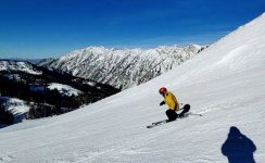 norman regulator johnson 11 dec 2025.jpg