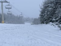 IMG_7463.jpeg IMG_7463.jpeg