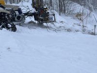 IMG_7462.jpeg IMG_7462.jpeg