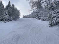 IMG_6932.jpeg IMG_6932.jpeg