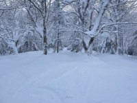 IMG_6937.jpeg IMG_6937.jpeg