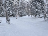 IMG_6942.jpeg IMG_6942.jpeg