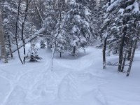 IMG_6944.jpeg IMG_6944.jpeg