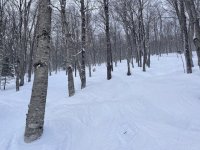 IMG_6945.jpeg IMG_6945.jpeg