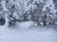 IMG_6946.jpeg IMG_6946.jpeg