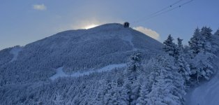 IMG_6959.jpeg IMG_6959.jpeg